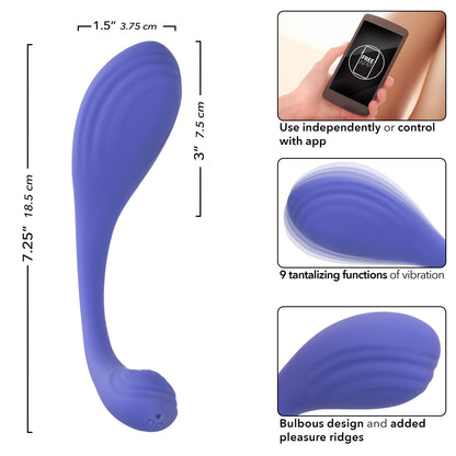 Ejercitador Kegel Calexotics Connect - Bígaro